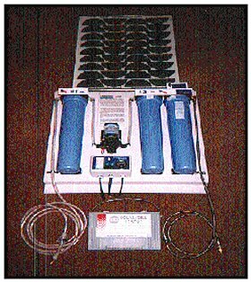 swp-c3.jpg (38561 bytes)